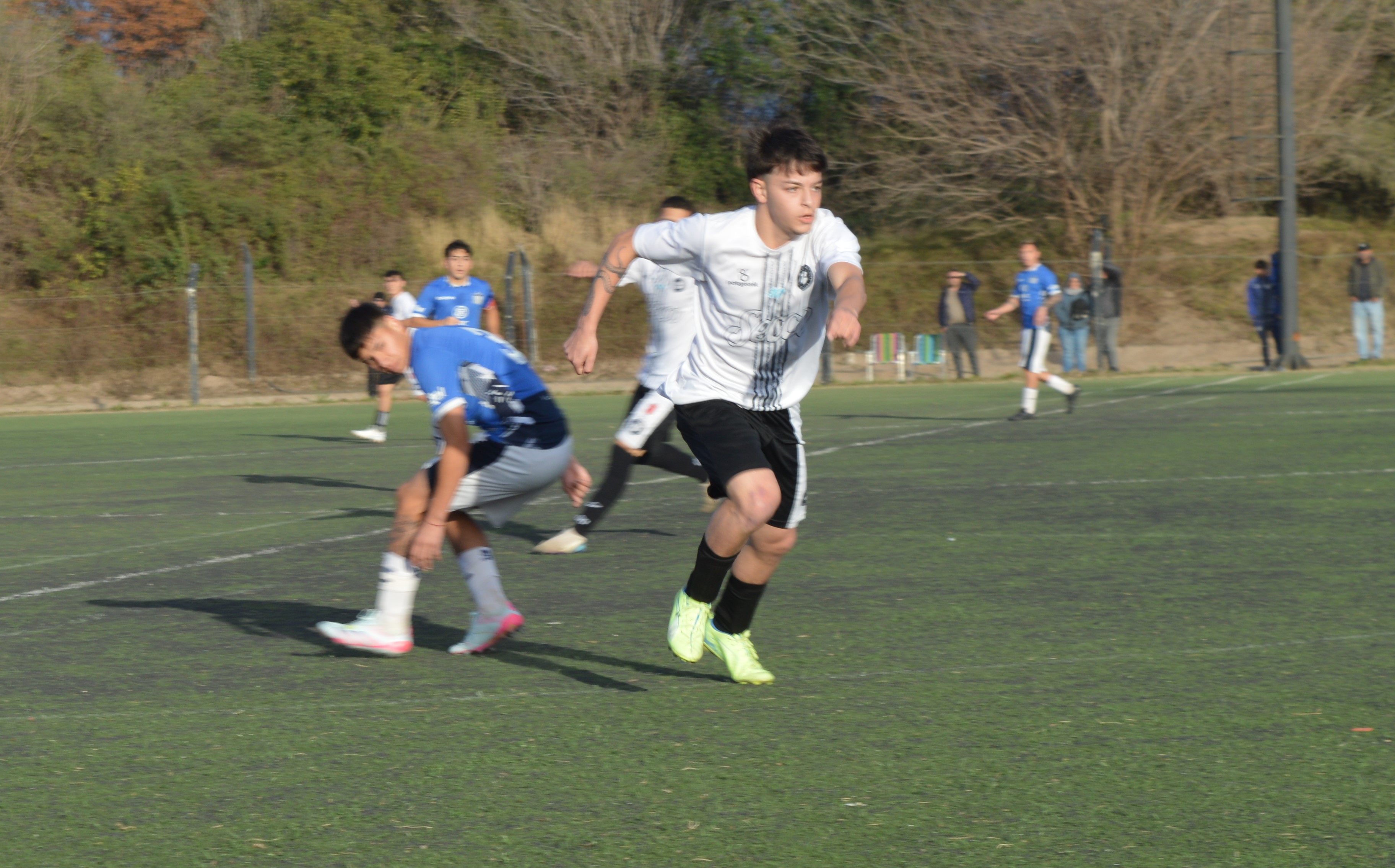 Imagen 1